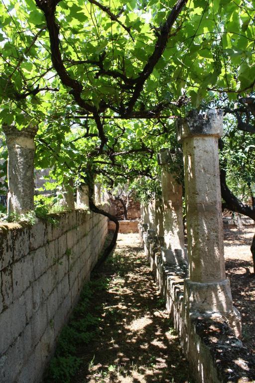 Masseria Maccarone Fasano Kültér fotó
