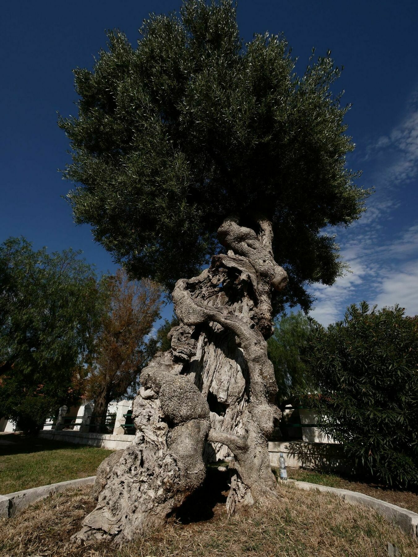 Masseria Maccarone Fasano Kültér fotó